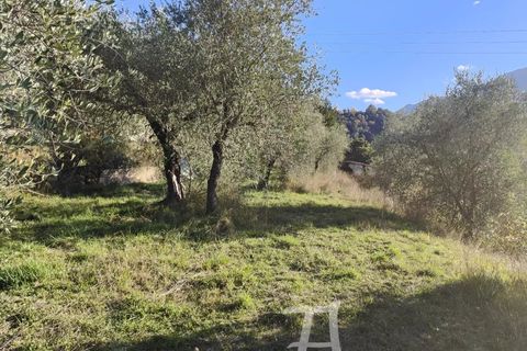 Træhytte i Sospel, Alpes-Maritimes, Sospel - € 99.000 | Ref: 86405670 - foto 3