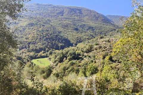 Træhytte i Sospel, Alpes-Maritimes, Sospel - € 99.000 | Ref: 86405670 - foto 6