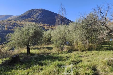 Træhytte i Sospel, Alpes-Maritimes, Sospel - € 99.000 | Ref: 86405670 - foto 11