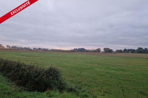 Villa i Pipriac, Ille-et-Vilaine, Pipriac - € 172.000 | Ref: 195677 - foto 2