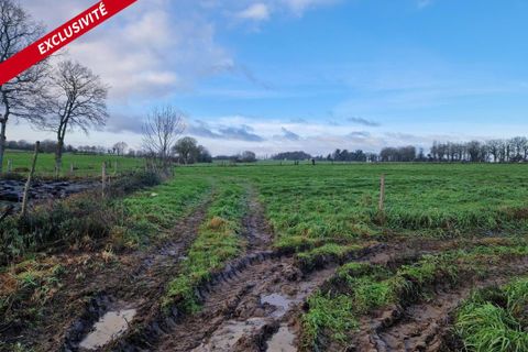 Villa i Pipriac, Ille-et-Vilaine, Pipriac - € 172.000 | Ref: 195677 - foto 6