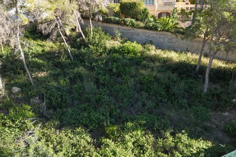 Helårsgrund i Teulada, Alicante, Teulada - € 350.000 | Ref: P213 - foto 2