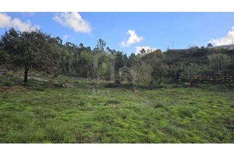 Helårsgrund i Mafra, Lisbon, Mafra - € 195.000 | Ref: V25370 - foto 6