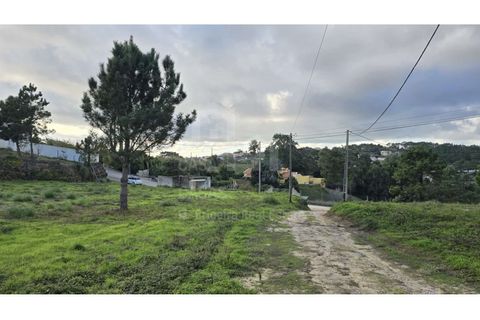 Helårsgrund i Mafra, Lisbon, Mafra - € 195.000 | Ref: V25370 - foto 8