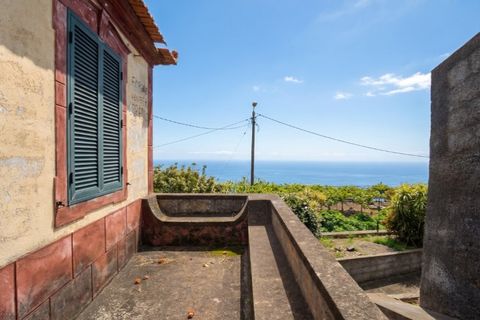 Villa i Calheta, Madeira, Calheta - € 330.000 | Ref: C0216-03240 - foto 30