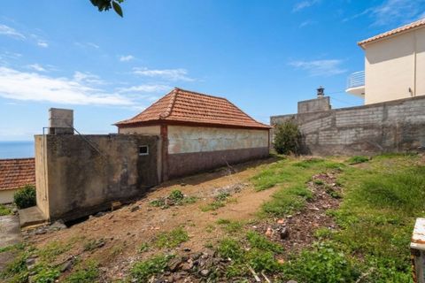 Villa i Calheta, Madeira, Calheta - € 330.000 | Ref: C0216-03240 - foto 32