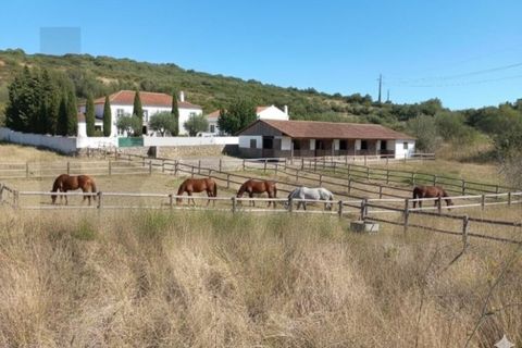 Helårsgrund i Sintra, Lisbon, Sintra - € 165.000 | Ref: KWPT-024296 - foto 14