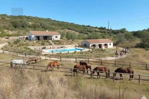 Helårsgrund i Sintra, Lisbon, Sintra - € 165.000 | Ref: KWPT-024296 - foto 15