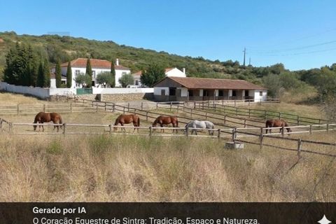 Helårsgrund i Sintra, Lisbon, Sintra - € 325.000 | Ref: KWPT-024295 - foto 8