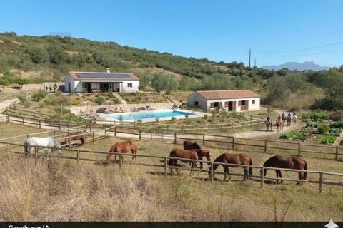 Helårsgrund i Sintra, Lisbon, Sintra - € 325.000 | Ref: KWPT-024295 - foto 9
