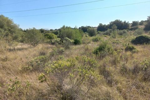 Helårsgrund i Sintra, Lisbon, Sintra - € 325.000 | Ref: KWPT-024295 - foto 15