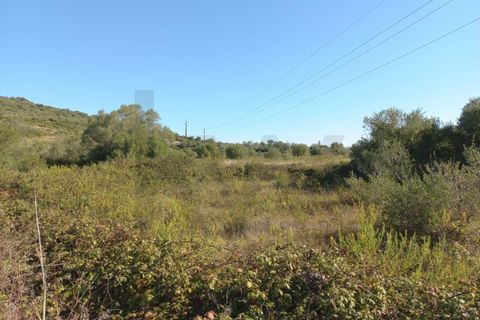 Helårsgrund i Sintra, Lisbon, Sintra - € 325.000 | Ref: KWPT-024295 - foto 20