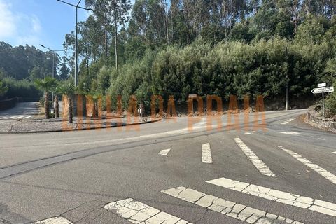 Terra a Muro, Porto, Muro - € 67.500 | Ref: 5500 - foto 6