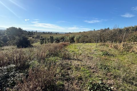 Helårsgrund i Obidos, Leiria, Obidos - € 70.000 | Ref: IRV2562 - foto 5