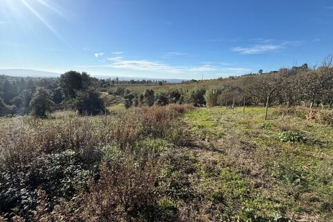 Helårsgrund i Obidos, Leiria, Obidos - € 70.000 | Ref: IRV2562 - foto 6