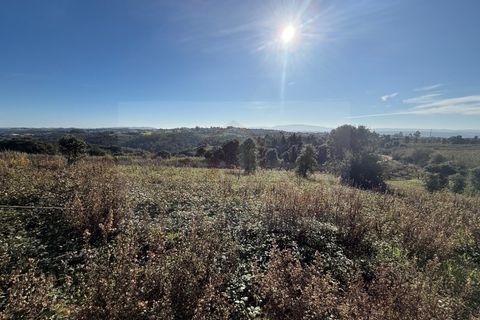 Helårsgrund i Obidos, Leiria, Obidos - € 70.000 | Ref: IRV2562 - foto 11