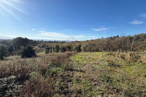 Helårsgrund i Obidos, Leiria, Obidos - € 70.000 | Ref: IRV2562 - foto 12