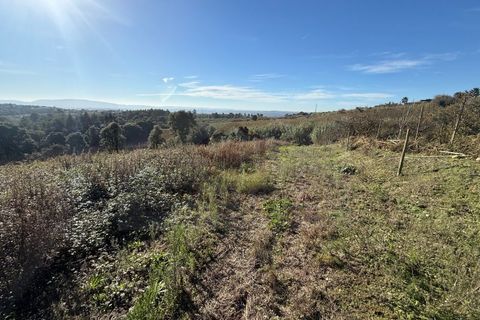 Helårsgrund i Obidos, Leiria, Obidos - € 70.000 | Ref: IRV2562 - foto 13