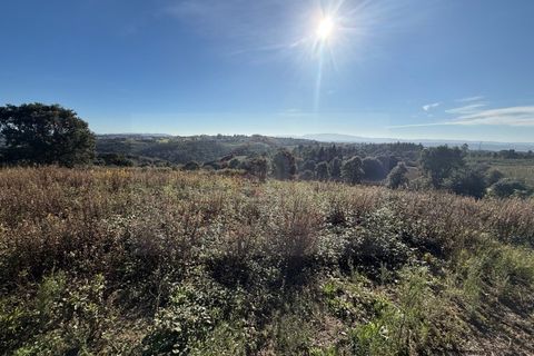 Helårsgrund i Obidos, Leiria, Obidos - € 70.000 | Ref: IRV2562 - foto 14