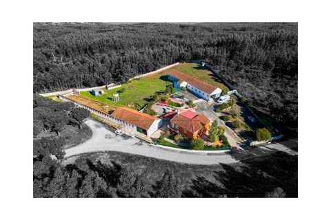 Villa a Rio Maior, Santarem, Rio Maior - € 460.000 | Ref: IRV2559 - foto 7