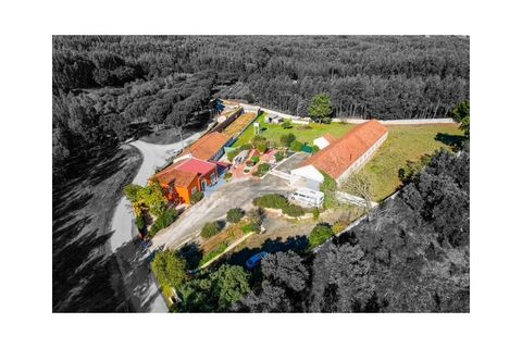 Villa a Rio Maior, Santarem, Rio Maior - € 460.000 | Ref: IRV2559 - foto 8