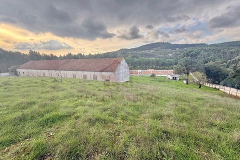 Villa a Rio Maior, Santarem, Rio Maior - € 460.000 | Ref: IRV2559 - foto 37