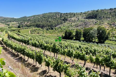 Landejendom i Alijo, Vila Real, Alijo - € 250.000 | Ref: 85968 - foto 1