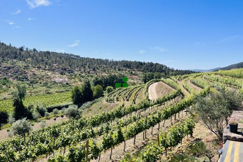 Landejendom i Alijo, Vila Real, Alijo - € 250.000 | Ref: 85968 - foto 4