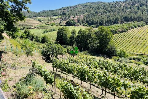 Landejendom i Alijo, Vila Real, Alijo - € 250.000 | Ref: 85968 - foto 6