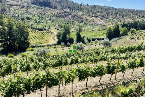 Landejendom i Alijo, Vila Real, Alijo - € 250.000 | Ref: 85968 - foto 9