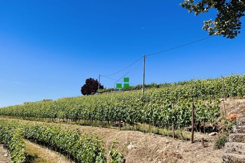 Landejendom i Alijo, Vila Real, Alijo - € 250.000 | Ref: 85968 - foto 11