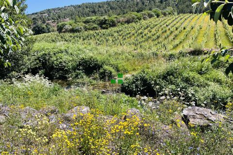 Landejendom i Alijo, Vila Real, Alijo - € 250.000 | Ref: 85968 - foto 13
