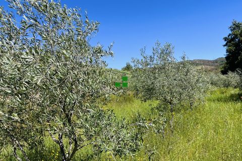 Landejendom i Alijo, Vila Real, Alijo - € 250.000 | Ref: 85968 - foto 20