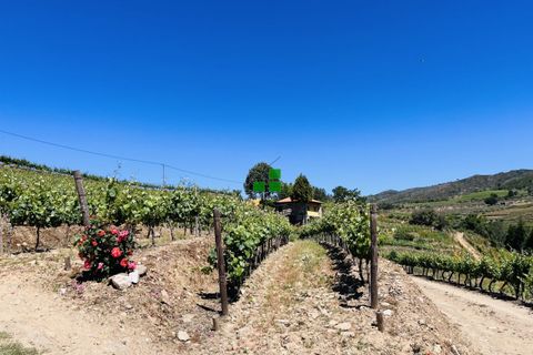 Landejendom i Alijo, Vila Real, Alijo - € 250.000 | Ref: 85968 - foto 21