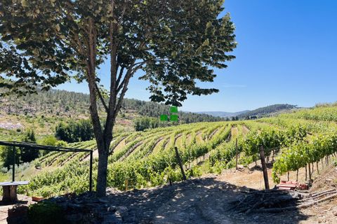 Landejendom i Alijo, Vila Real, Alijo - € 250.000 | Ref: 85968 - foto 40