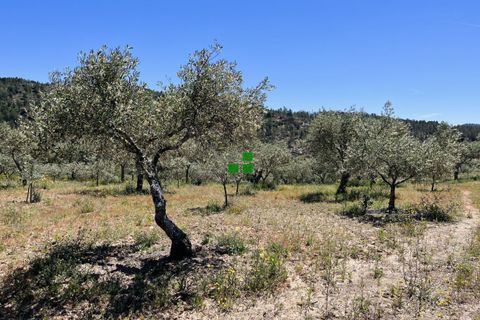 Landejendom i Alijo, Vila Real, Alijo - € 250.000 | Ref: 85968 - foto 42