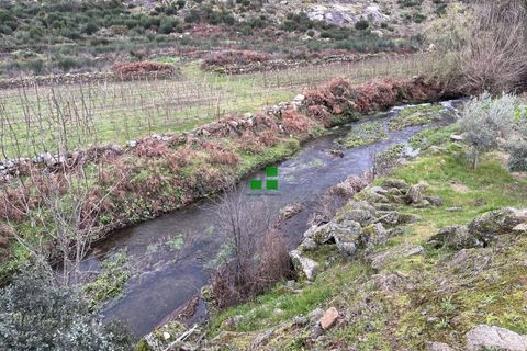Landejendom i Alijo, Vila Real, Alijo - € 250.000 | Ref: 85968 - foto 44