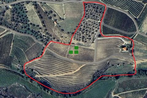 Landejendom i Alijo, Vila Real, Alijo - € 250.000 | Ref: 85968 - foto 45