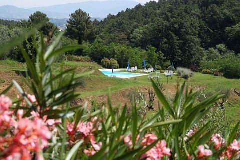 Villa i Capannori, Lucca, Capannori - € 1.100.000 | Ref: 6420 - foto 12