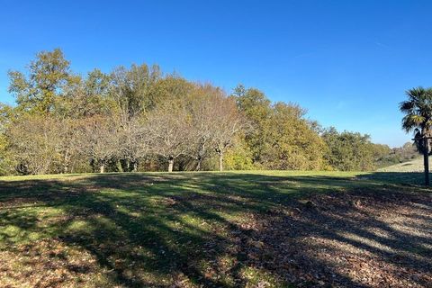 Villa i Marciac, Gers, Marciac - € 199.000 | Ref: 340934819591 - foto 19
