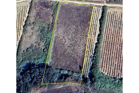 Helårsgrund i Mafra, Lisbon, Mafra - € 50.000 | Ref: L23620 - foto 4