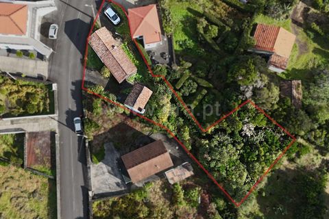 Villa a Horta, Faial, Horta - € 67.000 | Ref: 374250282 - foto 5