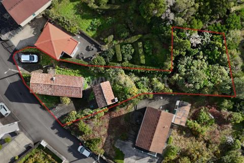Villa a Horta, Faial, Horta - € 67.000 | Ref: 374250282 - foto 6