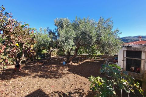 Villa a Potries, Valencia, Potries - € 399.000 | Ref: ES-OLI-019290 - foto 29