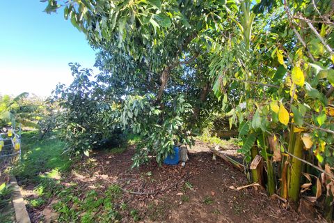 Villa a Potries, Valencia, Potries - € 399.000 | Ref: ES-OLI-019290 - foto 31