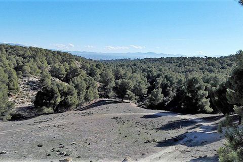 Landejendom i Benamaurel, Granada, Benamaurel - € 270.000 | Ref: v2427 - foto 3