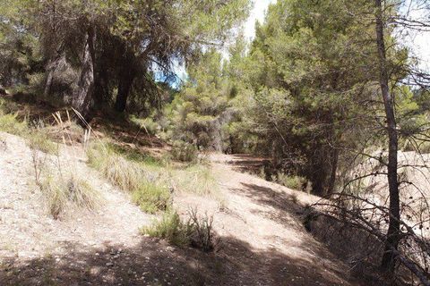 Landejendom i Benamaurel, Granada, Benamaurel - € 270.000 | Ref: v2427 - foto 5