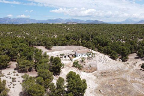 Landejendom i Benamaurel, Granada, Benamaurel - € 270.000 | Ref: v2427 - foto 6