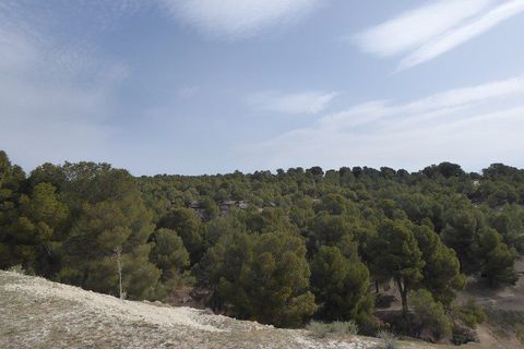 Landejendom i Benamaurel, Granada, Benamaurel - € 270.000 | Ref: v2427 - foto 14