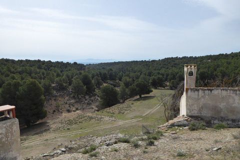 Landejendom i Benamaurel, Granada, Benamaurel - € 270.000 | Ref: v2427 - foto 15